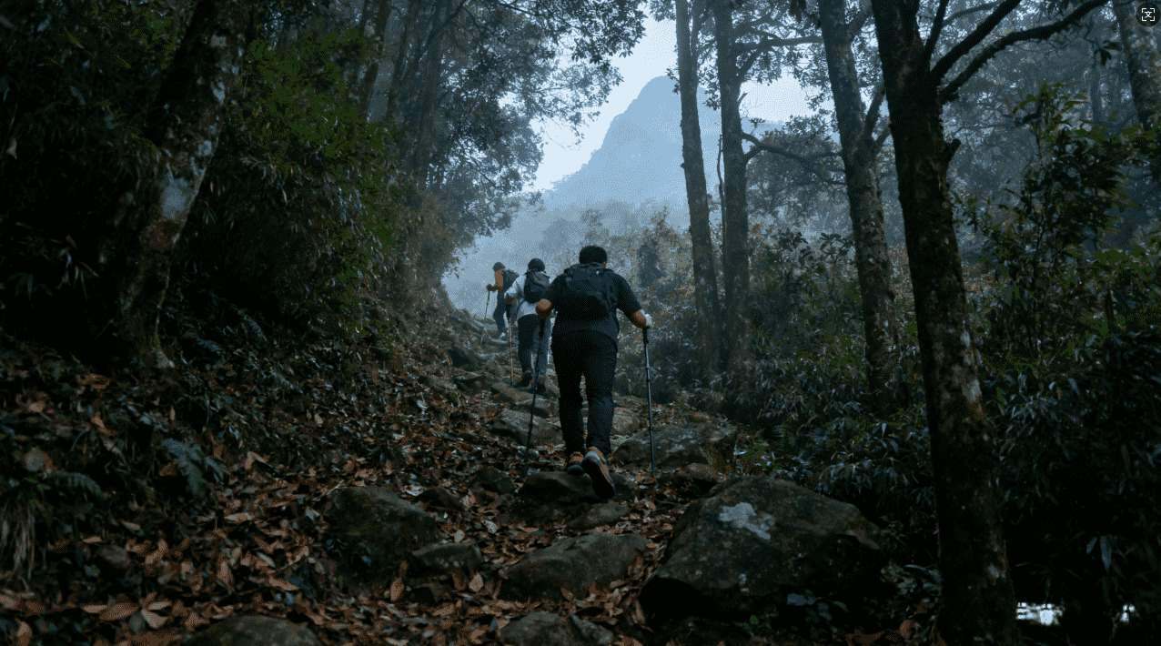 百度小牛加速器：全方位提升网络速度体验，开启极速浏览新篇章